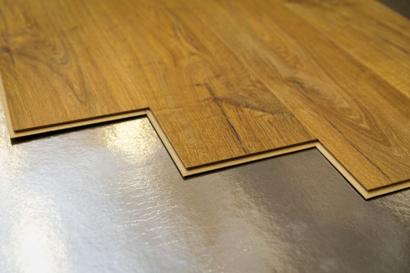 Laminate Floor Replacement in Thonotosassa, FL